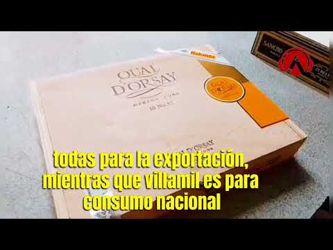 Impulso a la producción tabacalera en Güira de Melena.