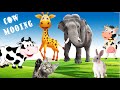 1 Hour Animal Universe Sounds Cow Mooing Funny Cat Dog Monkey