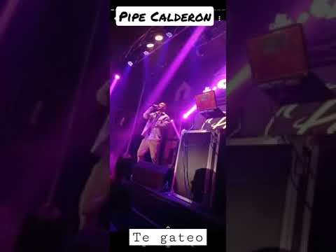 Pipe Calderón - Te gateo (en vivo, Medellin)