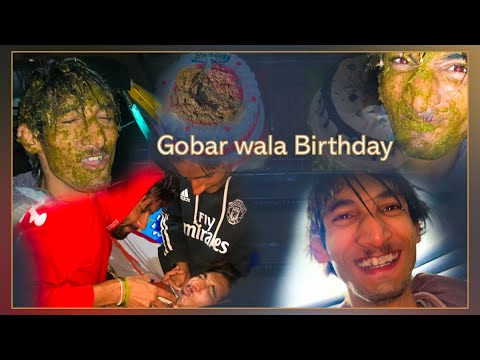 Honey  Ballana  Birthday | Full Vlog  | Gobar ka cake .