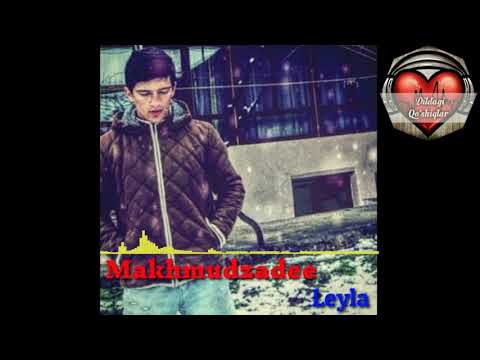 Makhmudzadee - Leyla (music version)