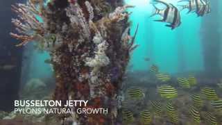 preview picture of video 'Busselton Jetty pylons scraped and wrapped in Western Australia'
