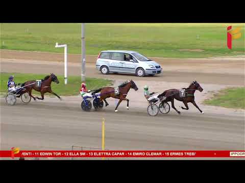 VI Corsa del 14 Giugno 2023 - 3 Anni - Metri 1600 - TQQ