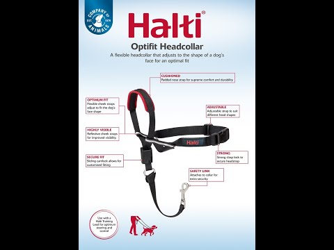 Миниатюра изображения товара Недоуздок Halti Optifit Headcollar / 24201/COA (S, черный)