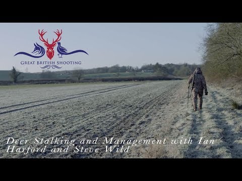 Muntjac Deer Stalking and Deer Management with Ian Harford and Steve Wild Video