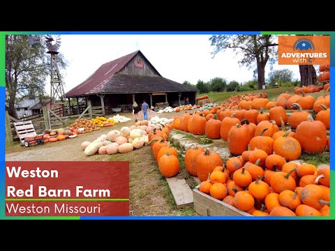 Pumpkin Patch Weston Mo