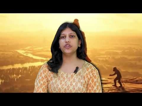 सेवा  भाव ( दया विडियो ) VIDEOS 4