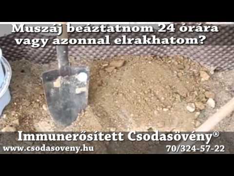 Gyik 31- Fontos beáztatnom, gyökérrel vízbe tenni 24 órára a növényt?