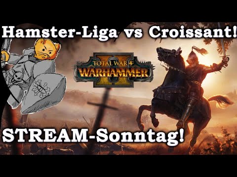 Hamster-Liga Live STREAM Schlachten vs Croissant! - Total War: Warhammer 2