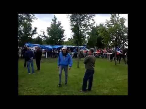 Dostihy Brno 20.6.2015