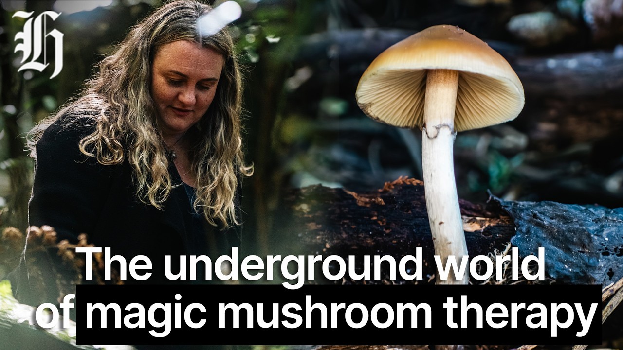 The underground world of magic mushroom therapy
