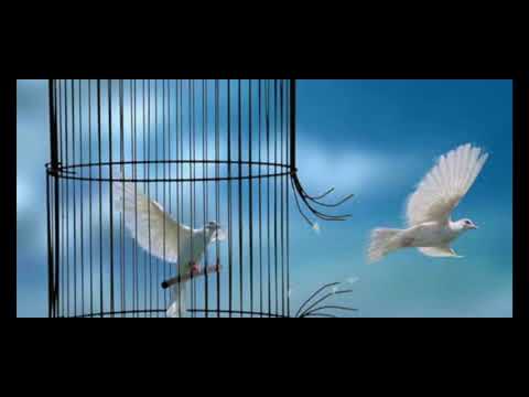 Vaincre l'esprit de mort - la délivrance- pasteur Salvatore Gentile