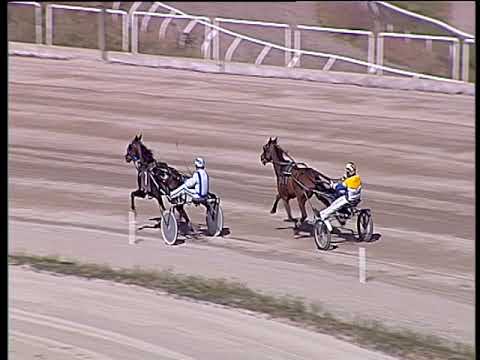 Trotto 15/03/2019 - prova di qualifica