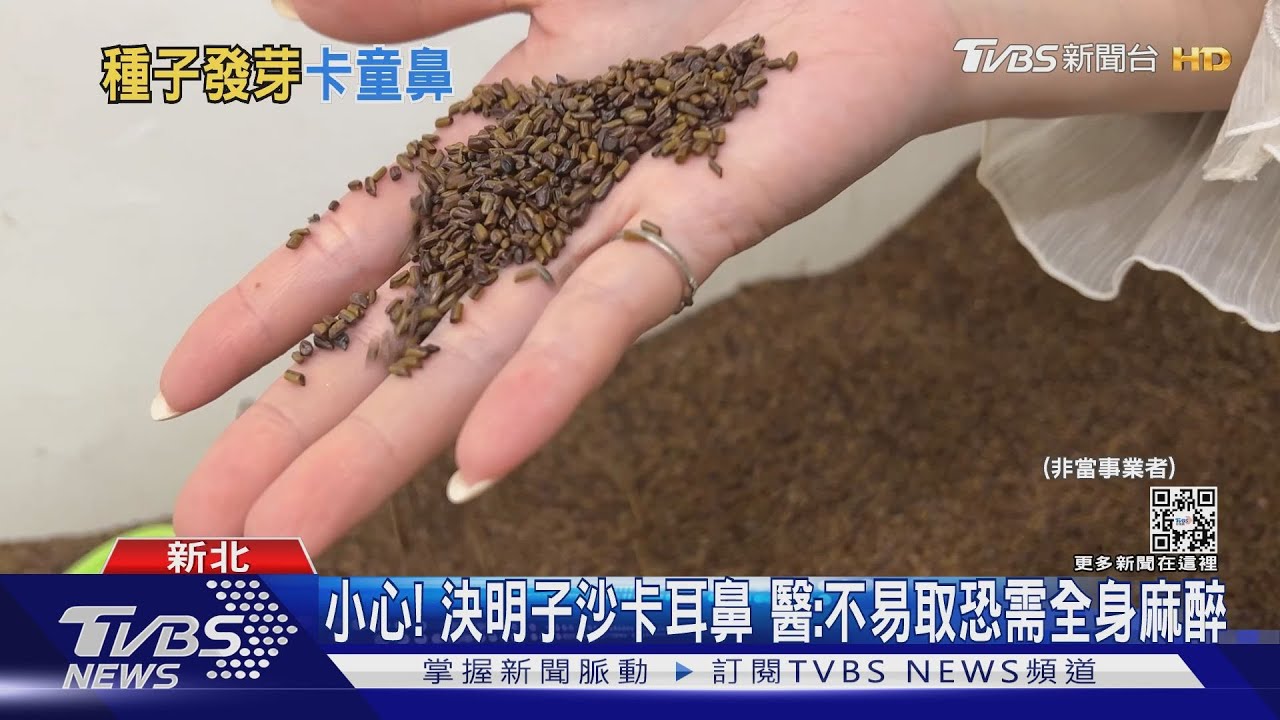 母驚見洗衣槽有「發芽菜」! 因童玩決明子沙「卡鼻」