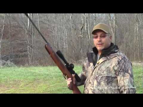 BEST Predator Control Gun --Beeman Air Rifle