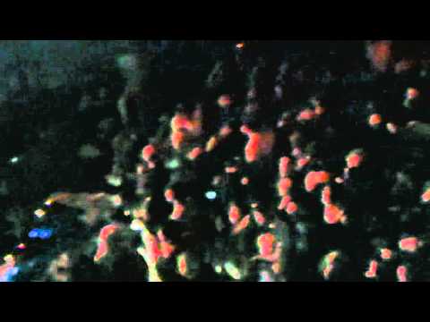 THE PARTY 29TH APRIL 2011