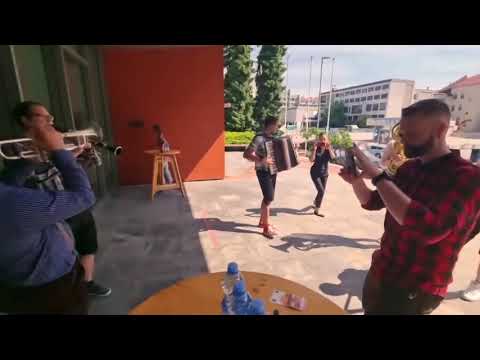 Fehtarji & Blaž Jenkole & Matej Rihter & Nejc Merc - Veseli svatje (v živo)