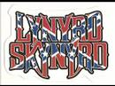 trust - lynyrd skynyrd