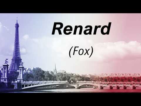 How to Pronounce Renard in French + French sentence with it
