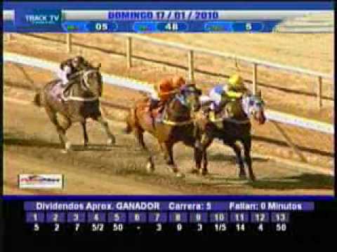 Resumen domingo 17 de Enero 2010 --- La Rinconada
