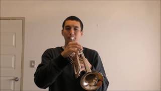 Herb Alpert - The Lonely Bull (Trumpet)