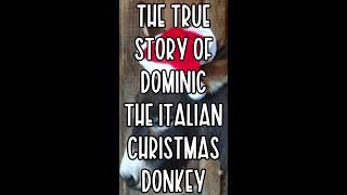 The TRUE STORY of Dominic the Italian Christmas donkey
