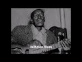Sleepy John Estes-Jailhouse Blues