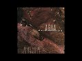 Harold Budd - Coyote