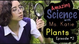 Amazing Plant Facts! Fun Science Facts for children. Homeschool family.