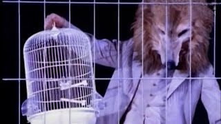 Budka Suflera - Takie Tango