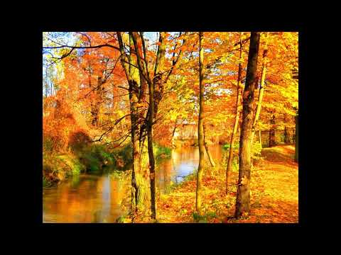 Ludwik x Tomas BS x 3Styl - Taki sam