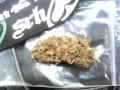 Kottonmouth Kings--- Everything great when your high-- from Long Live The Kings