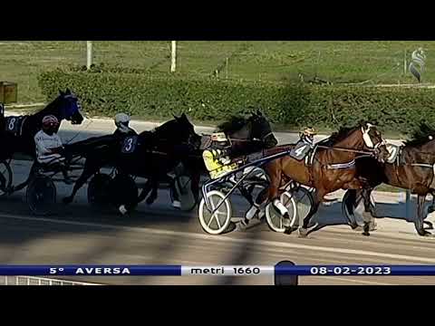 Aversa trotto 8 Febbraio 2023 - 5° Corsa