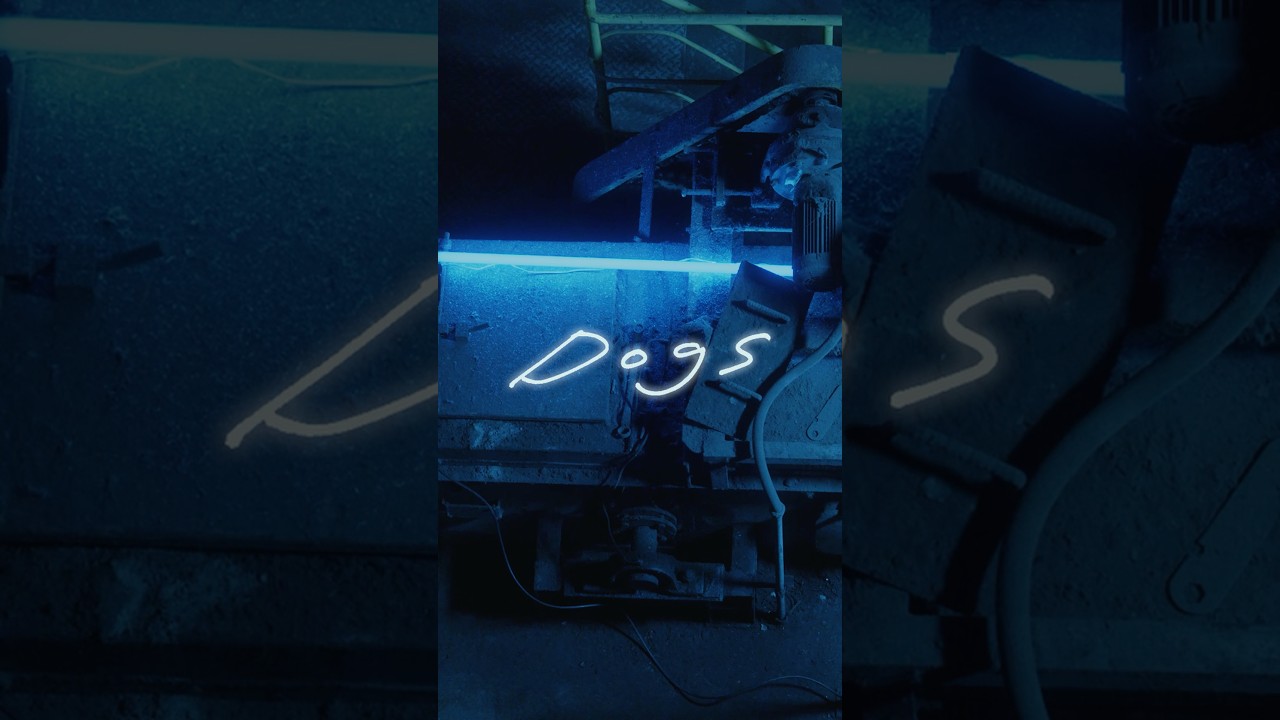 Netflixシリーズ『#九条の大罪 』主題歌#羊文学 - Dogs Music Video2026.4.2(thu) 21:00 Out.