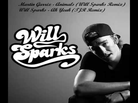 Martin Garrix vs Will Sparks vs  TJR - Animals Yeah
