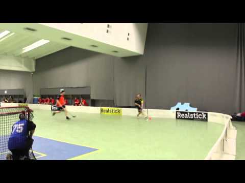 Tre Ankkare season review 2012-2013