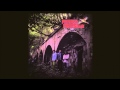 Paisley Pheasant / The Man in The Moon 