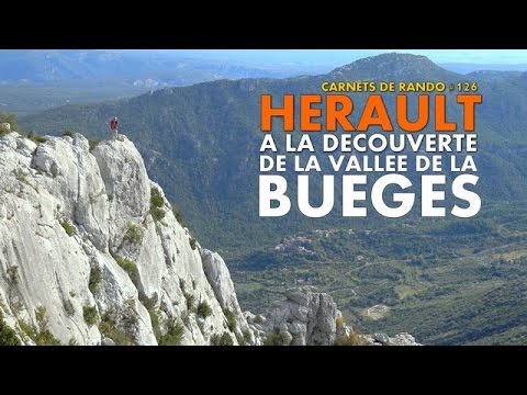 Vignette vidéo