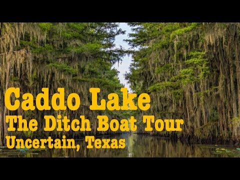 download lagu mp3 mp4 Caddo Lake Boat Rental, download lagu Caddo Lake Boat Rental gratis, unduh video klip Caddo Lake Boat Rental