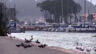 Send me a sign-by-story side B!!!