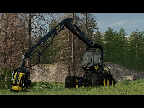 Fs22 Timelapse | Forestry in Umbreon Valley | Cutting a flooded area | S3 E01