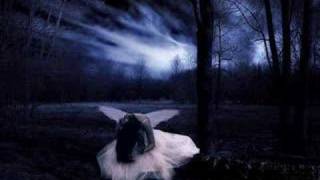 Lagrimas by JD Natasha