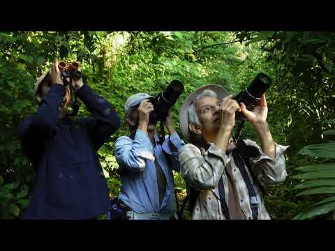 #gobirdingvlog Episode 10: The Lost Tinamou