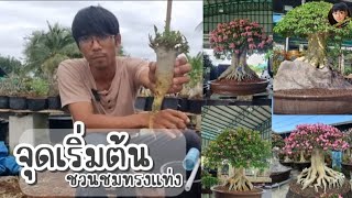 จุดเริ่มต้น การทำชวนชมทรงแท่ง แบบง่ายๆได้ไม้สวย ไว้ดูไว้ชม