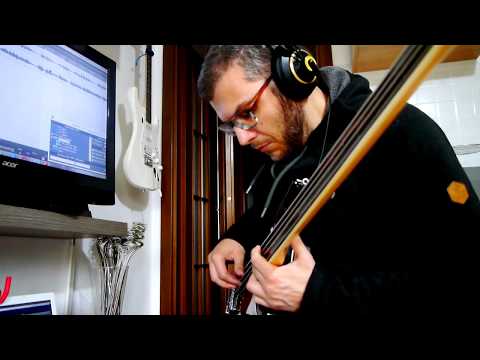 GARY WILLIS Say Never Sire V7 Fretless bass cover