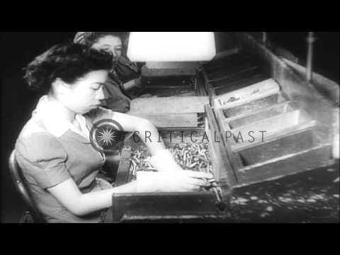 China's ambassador to Canada, Lu Shumin inspects Canada's war industries. HD Stock Footage