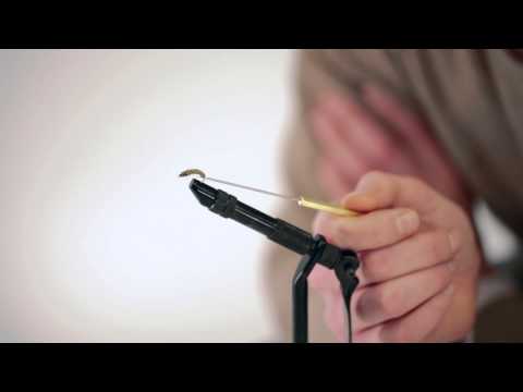 Oliivi Larva perhon esittely