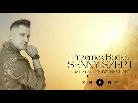 Przemek Budka - Senny szept (COVER Czerwone Gitary)