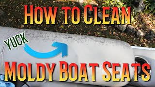 How to Clean Moldy Boat Seats!