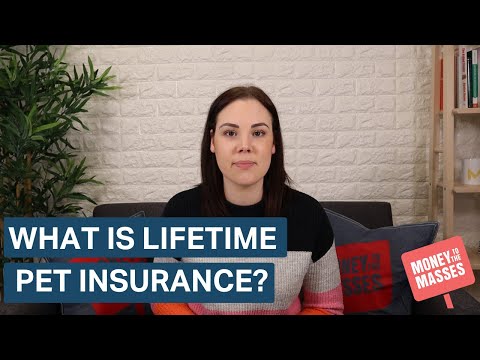 What is lifetime pet insurance?